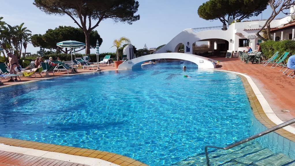 Residence Villa Tina Forio di Ischia Eksteriør billede